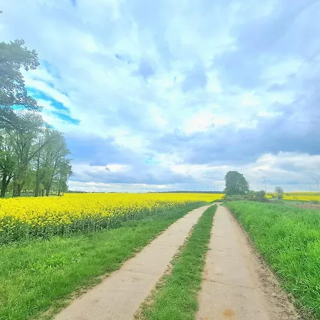 Urlaubdidylle In Der Uckermark Holiday home