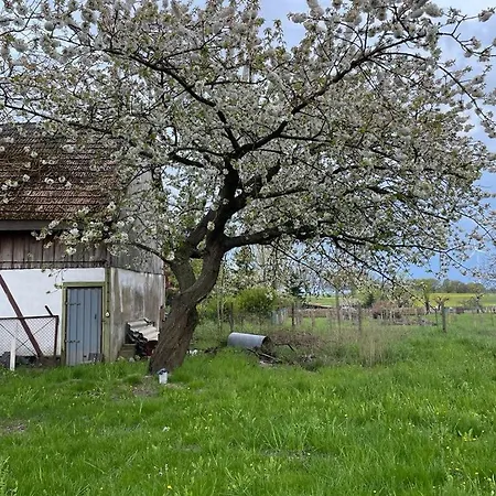 Urlaubdidylle In Der Uckermark Holiday home